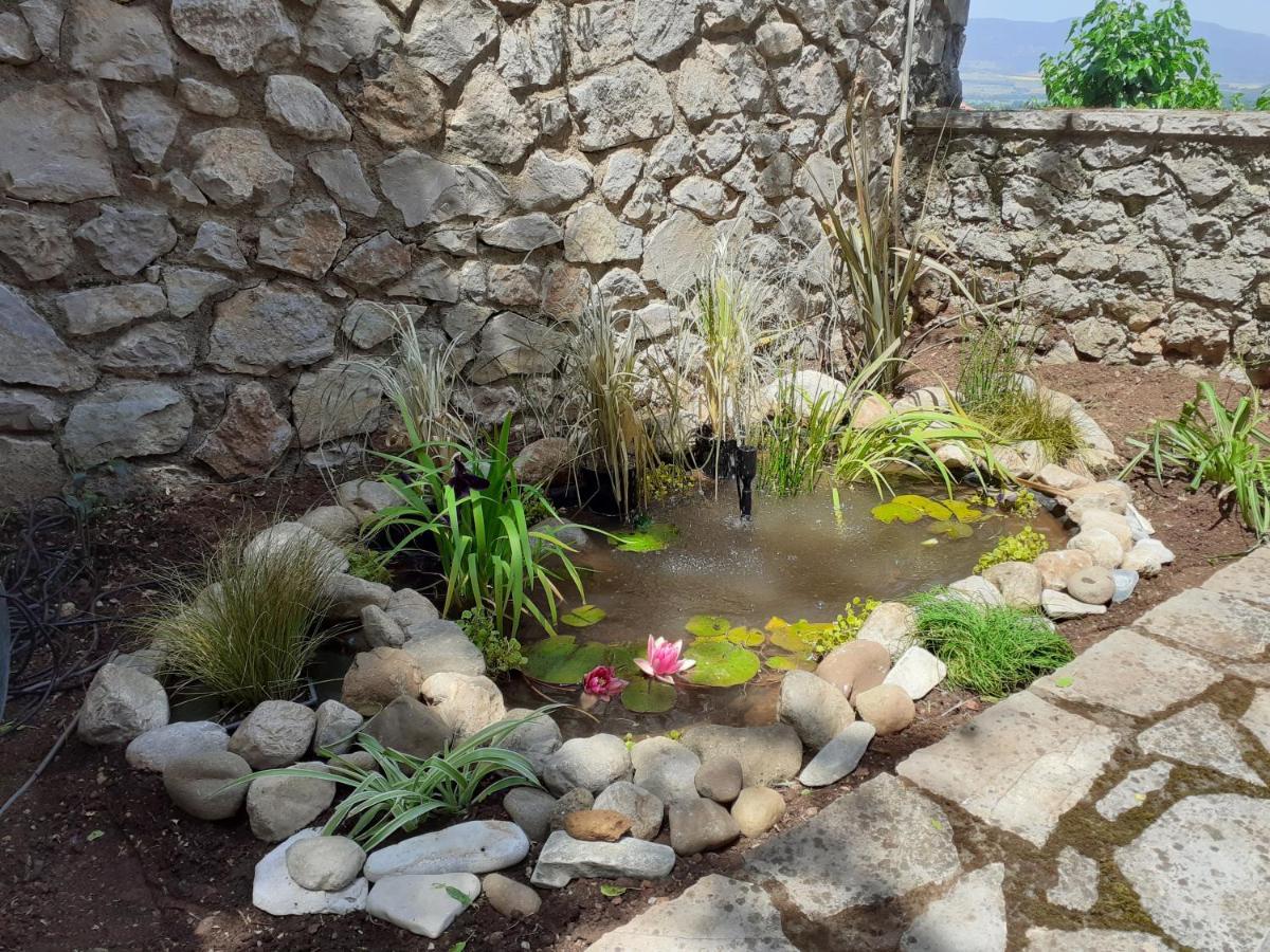 Agoriani Art Suite - 4 Seasons' Natural Living Lílaia Exterior photo